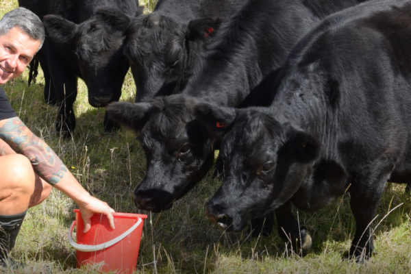 Oakridge-Farm-image1